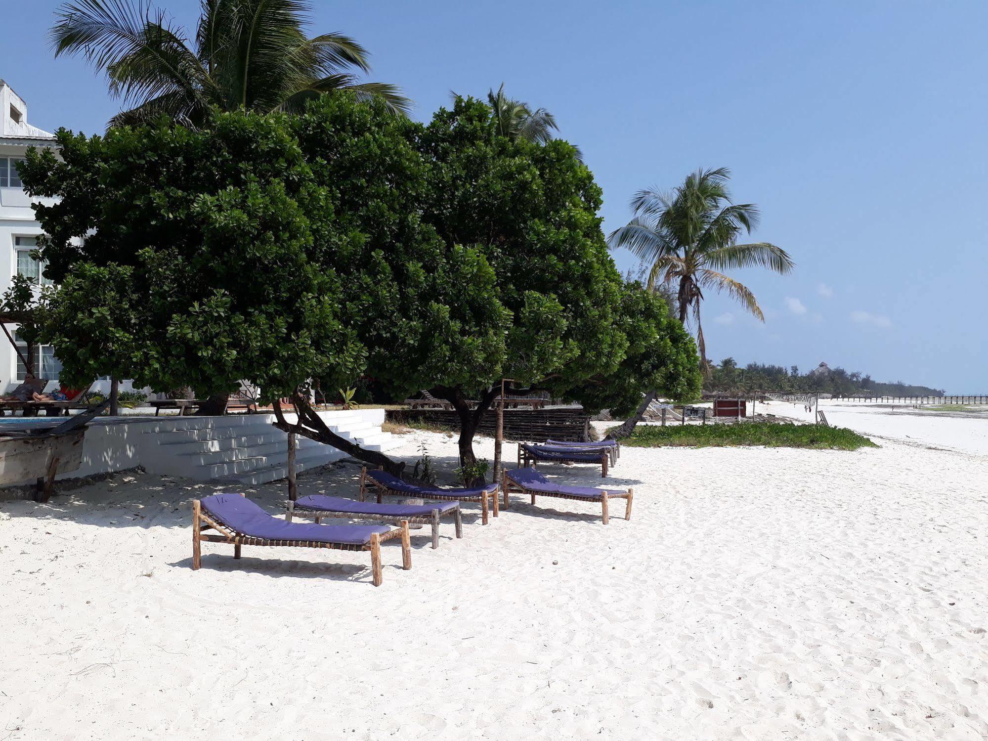 Hotel Albatross Ocean View Dongwe Exterior foto