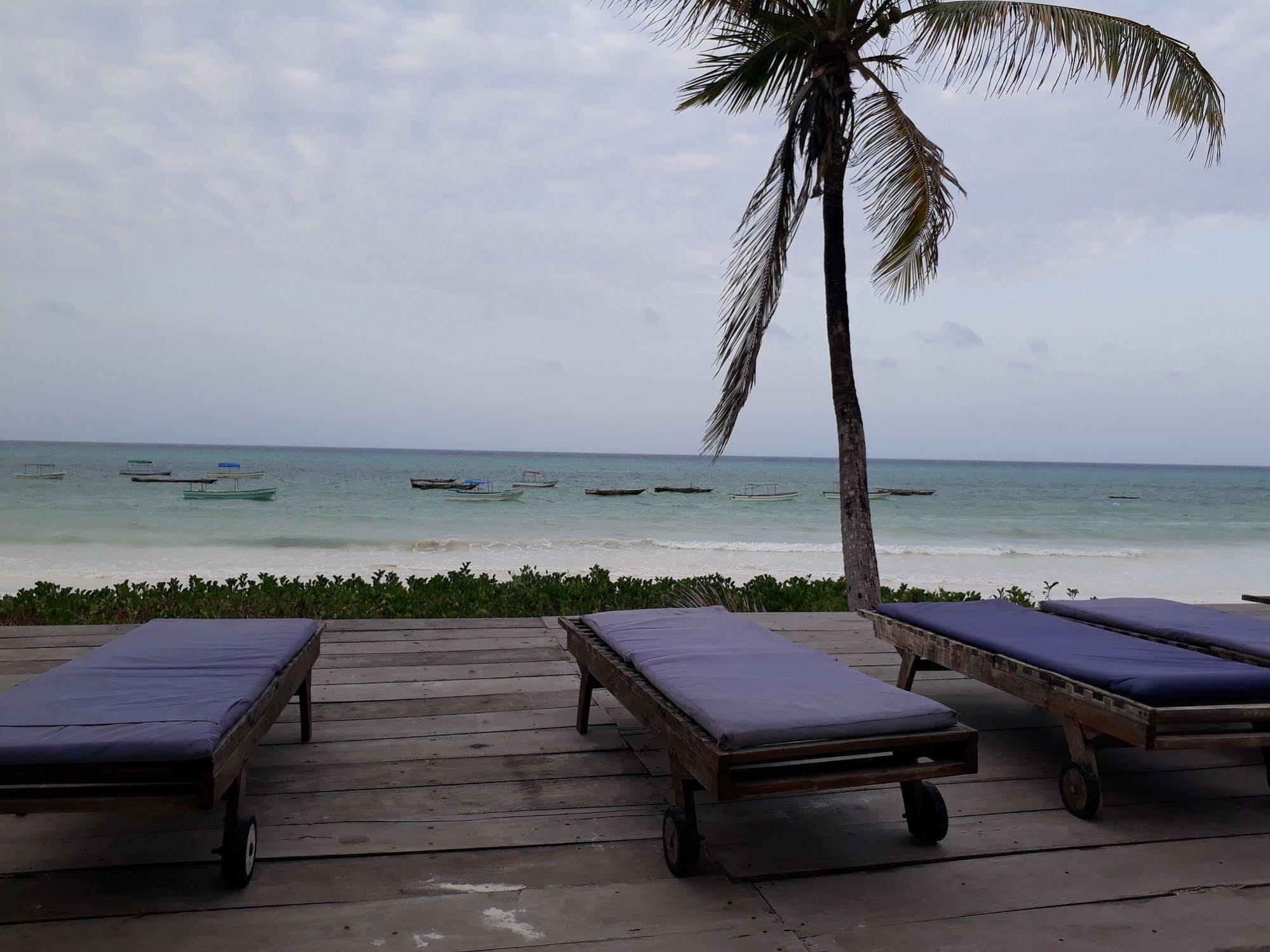 Hotel Albatross Ocean View Dongwe Exterior foto