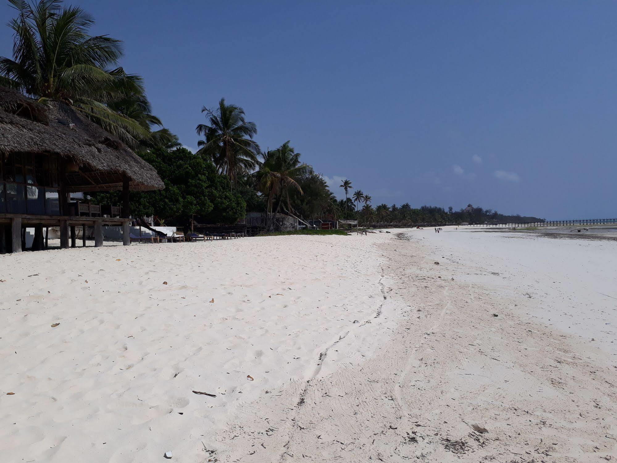 Hotel Albatross Ocean View Dongwe Exterior foto